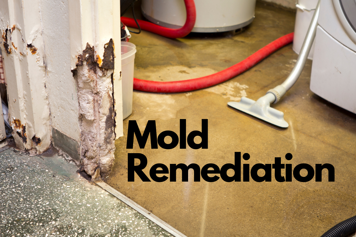 Mold Removal Services in Montgomery, AL BioOne of Montgomery